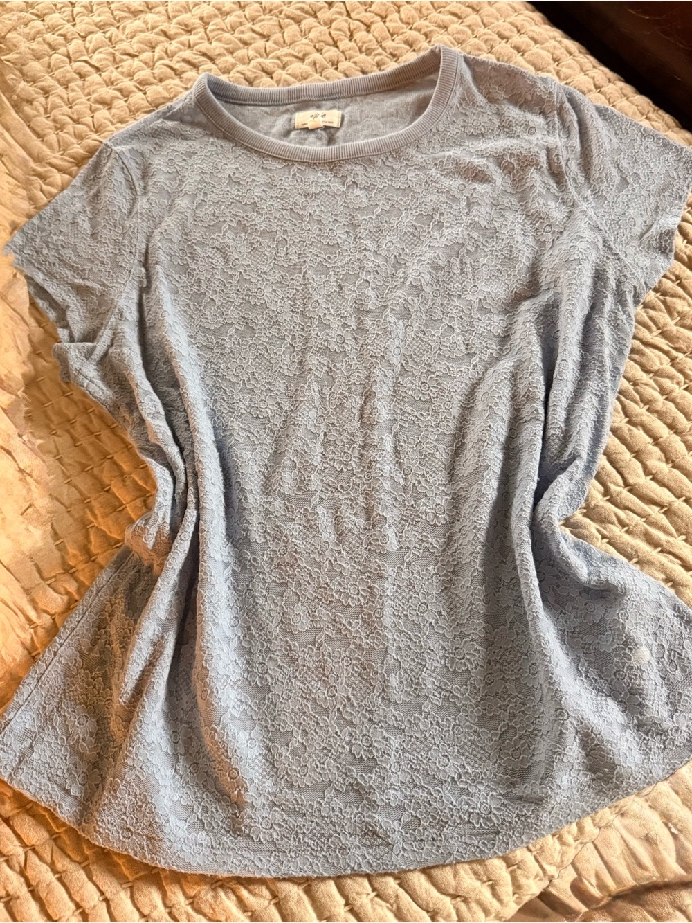 aerie Light Blue Lace Short Sleeve Top